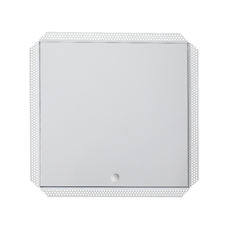 SS-AP251 stalen toegangspaneel