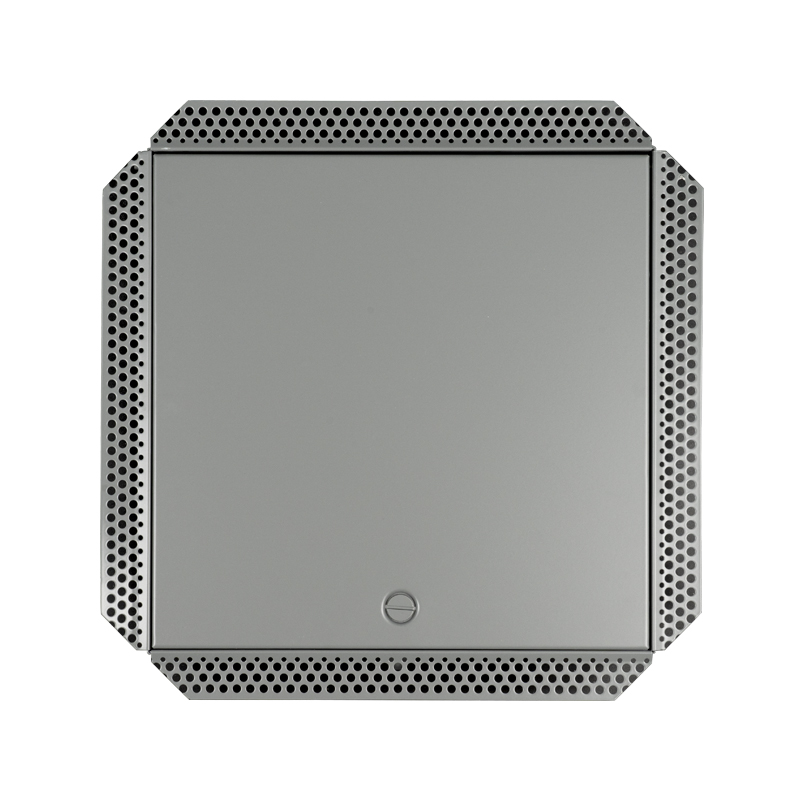 SS-AP250SB stalen toegangspaneel