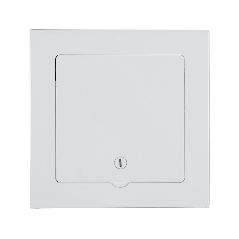 SS-AP240SA stalen toegangspaneel